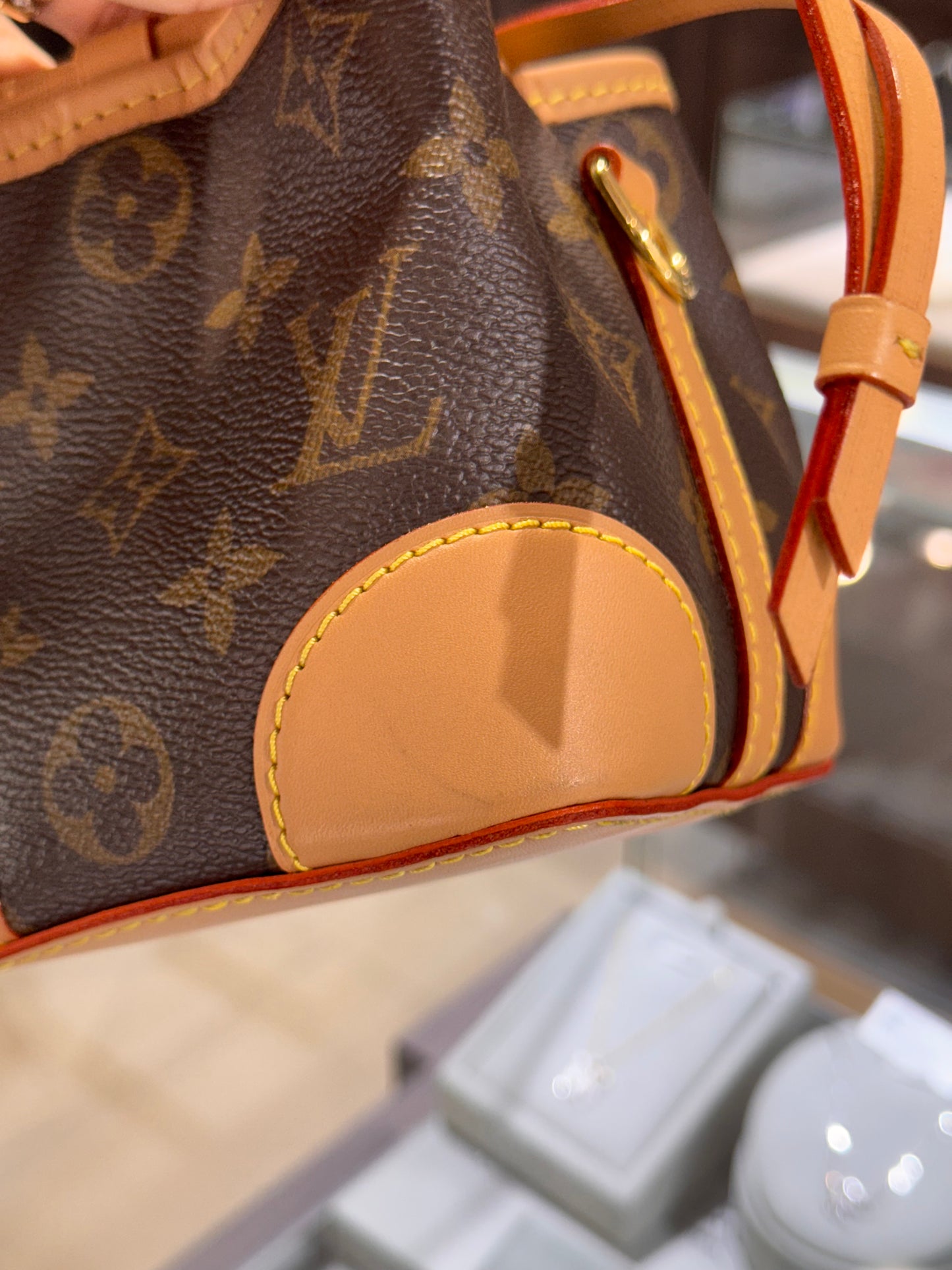 Louis Vuitton Monogram Noe Mini Bucket