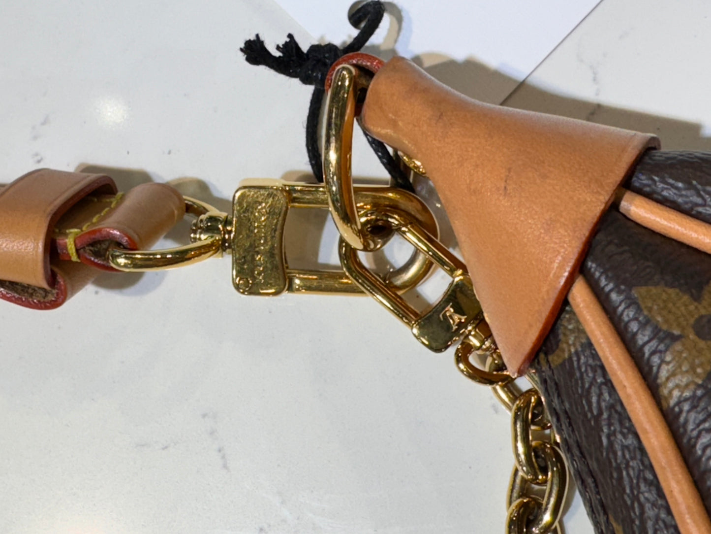 Louis Vuitton Monogram Loop