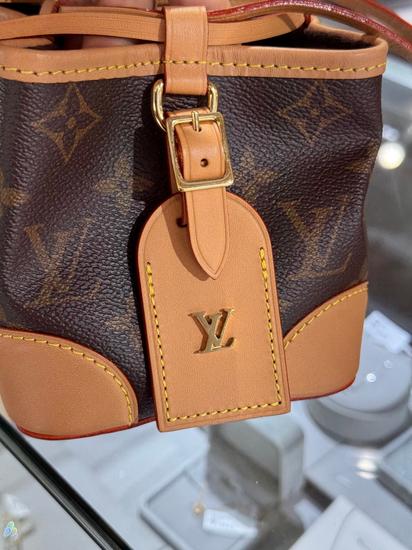 Louis Vuitton Monogram Noe Mini Bucket