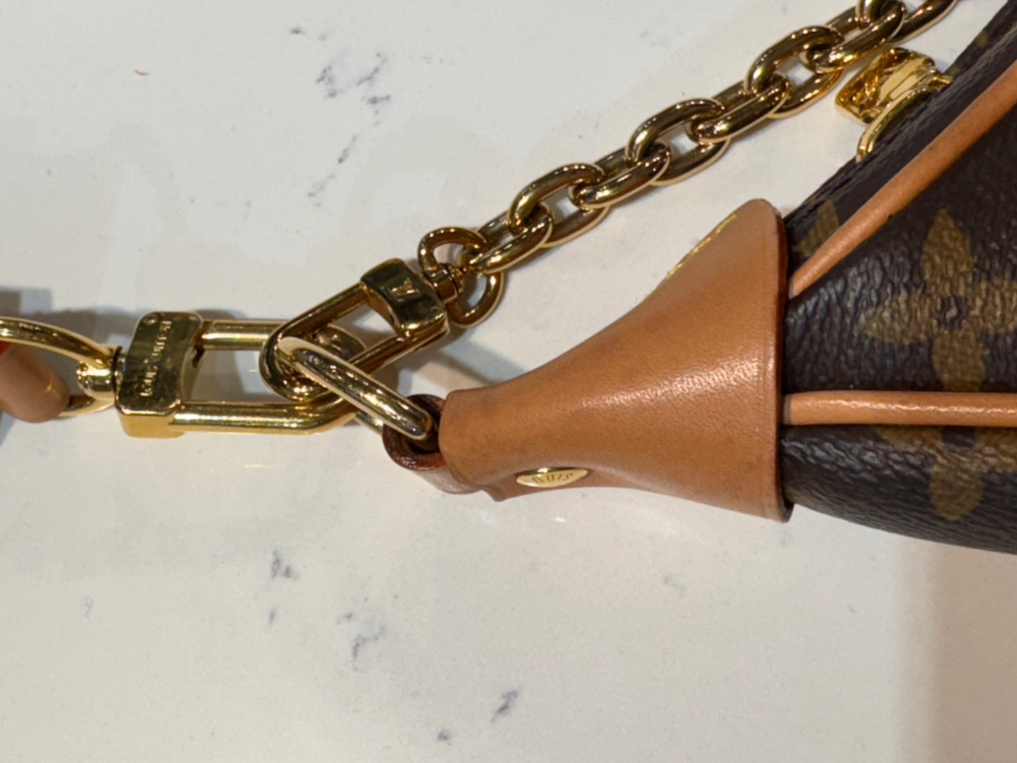 Louis Vuitton Monogram Loop