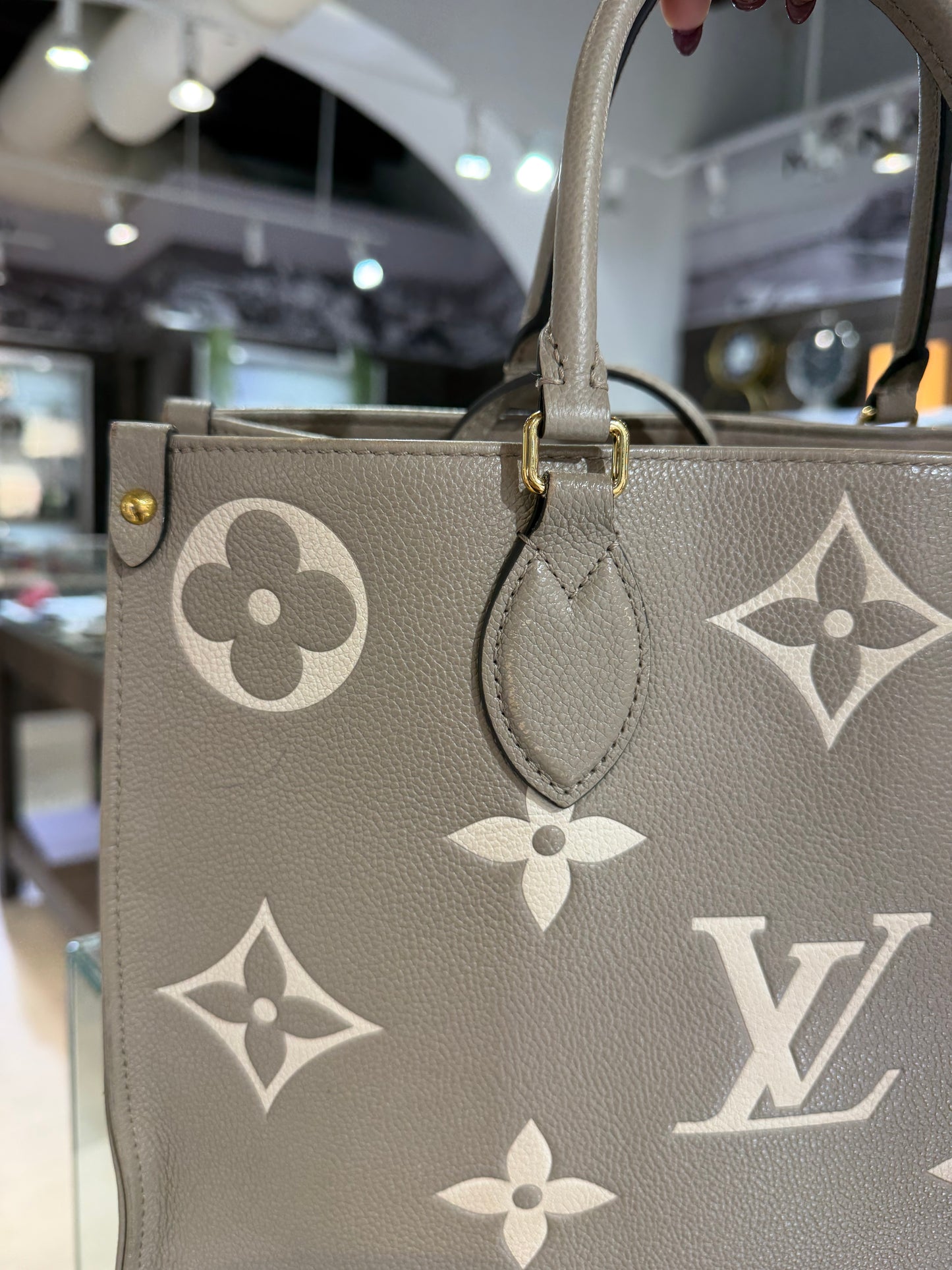Louis Vuitton Bicolor OnTheGo MM