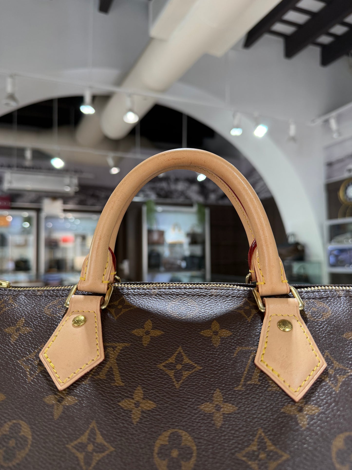 Louis Vuitton Monogram Speedy 30