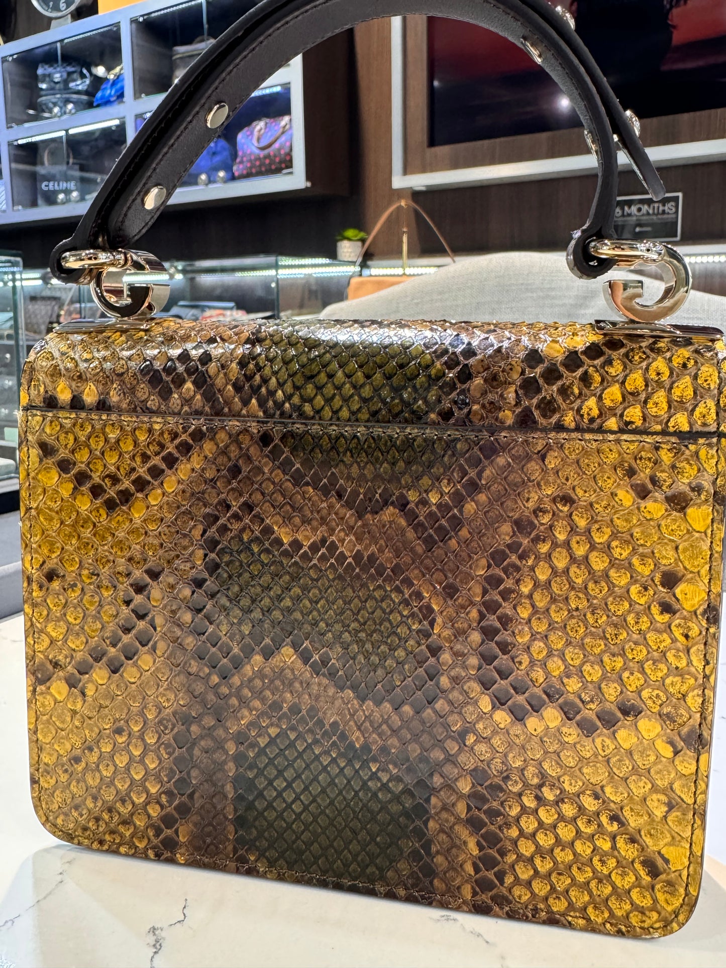 Gucci Exotic Python Small 1973