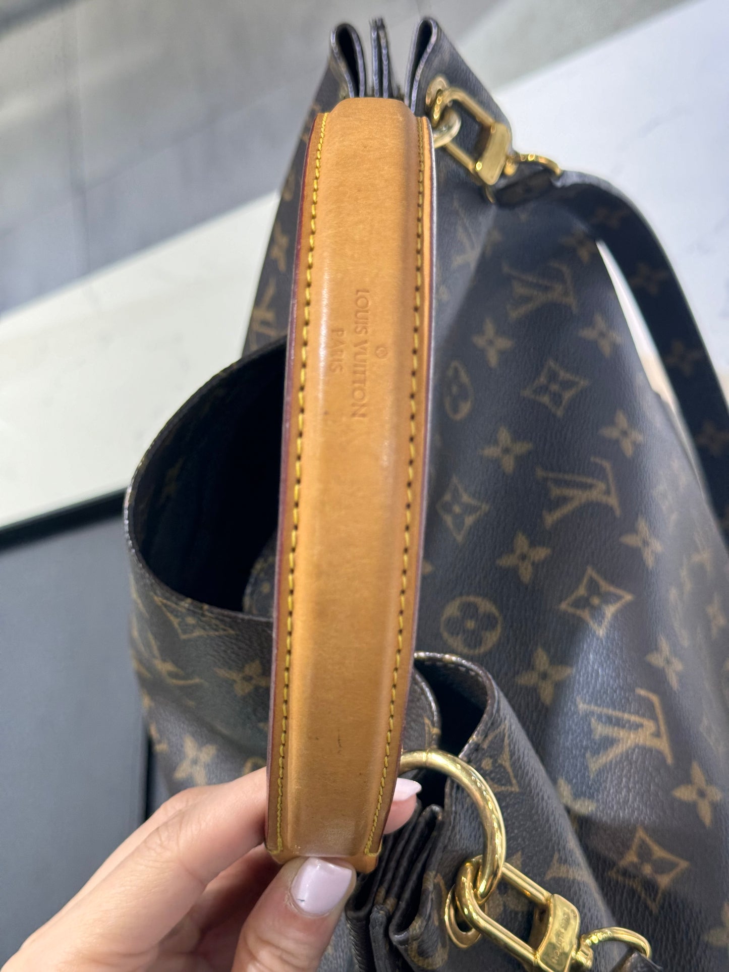 Louis Vuitton Metis Hobo  Monogram