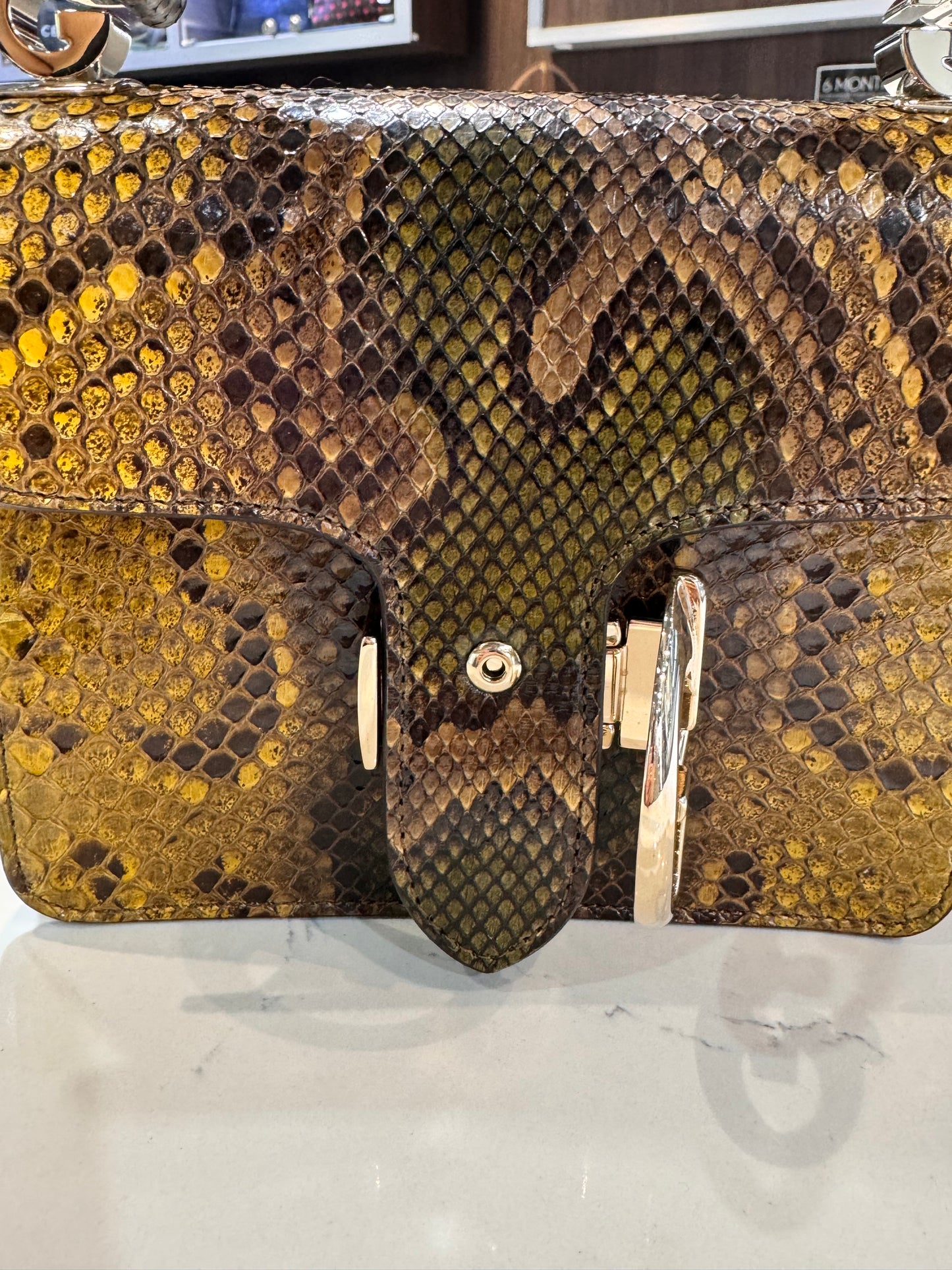 Gucci Exotic Python Small 1973