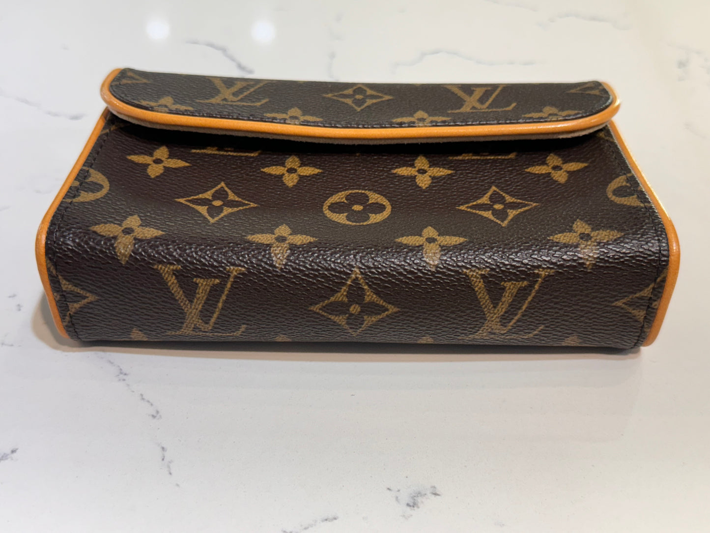 Louis Vuitton Monogram Belt Bag
