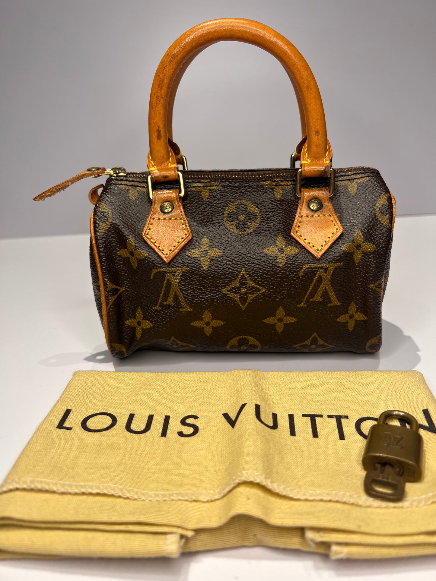 Louis Vuitton Speedy Mini HL