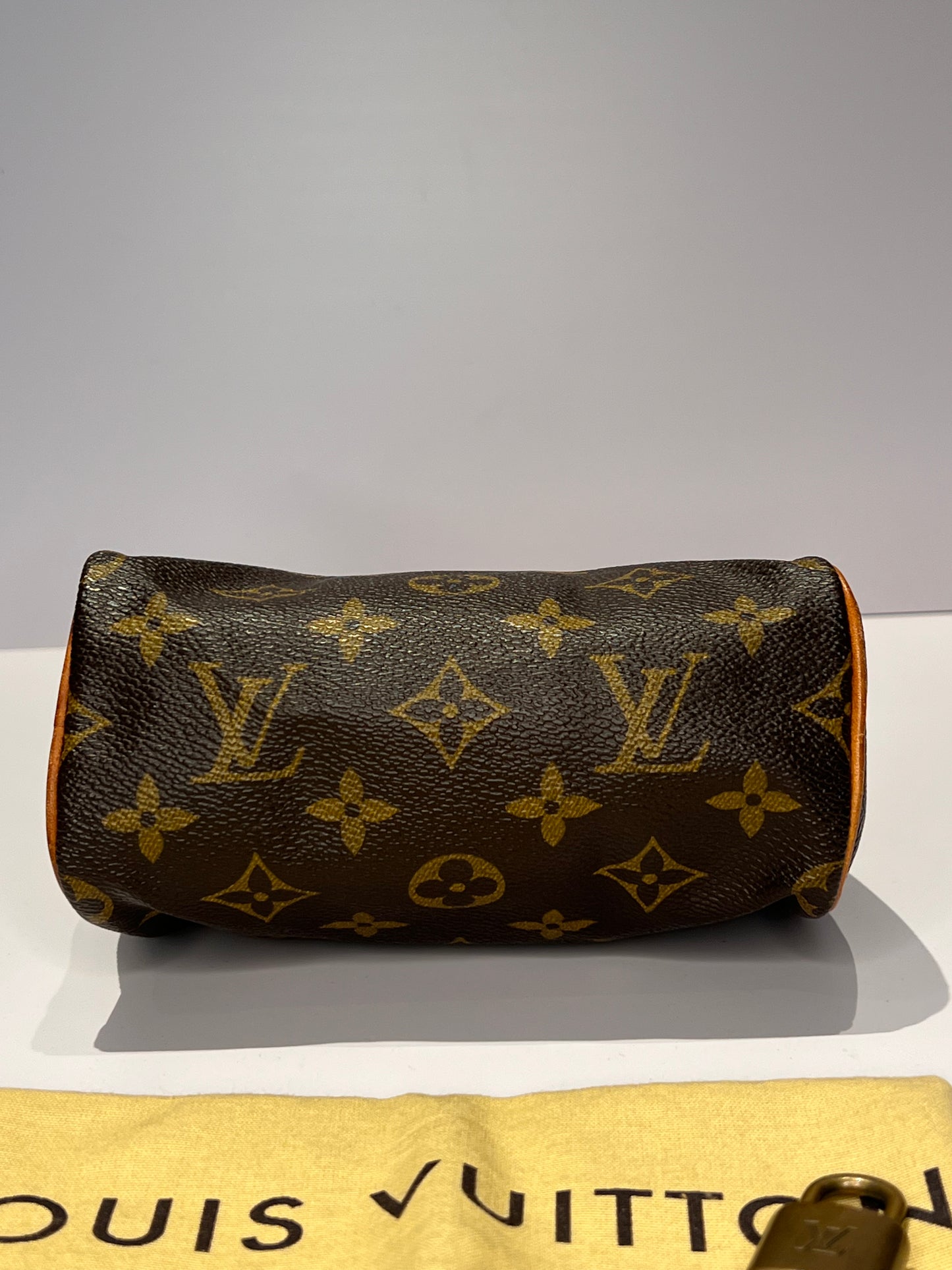 Louis Vuitton Speedy Mini HL