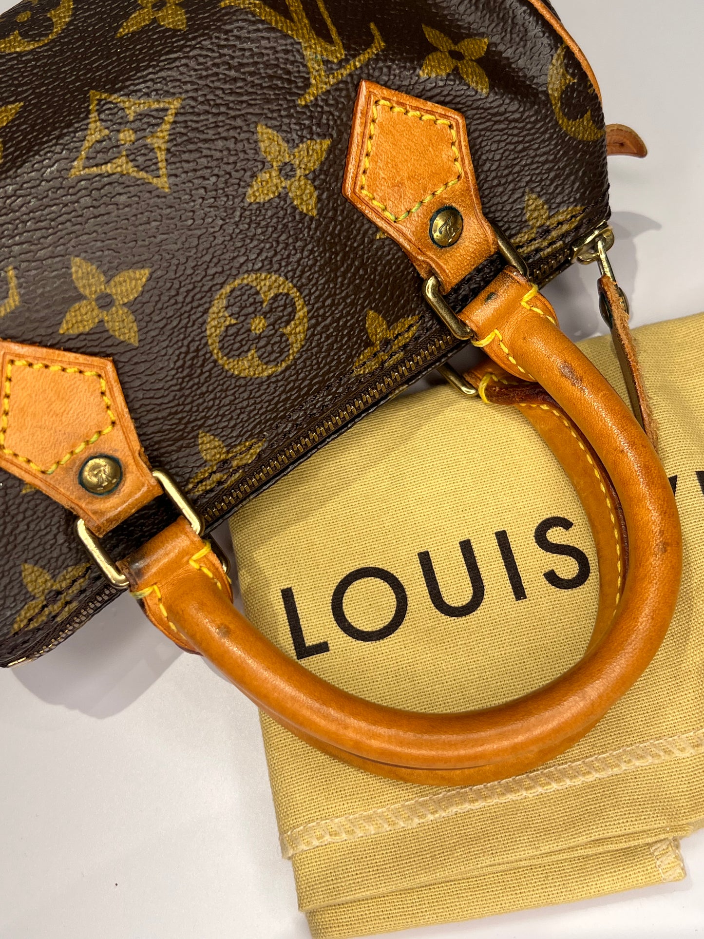 Louis Vuitton Speedy Mini HL